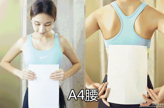 9efd6d308eee4496bf009b86edf2e9ab_th.jpg